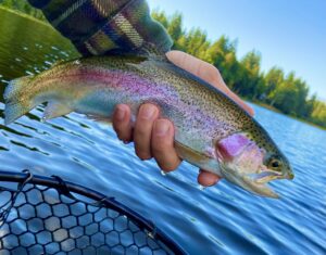 photo of a freshly caught trout, lake fishing, and fall fishing