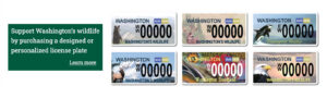 Washington Personalized License Plates